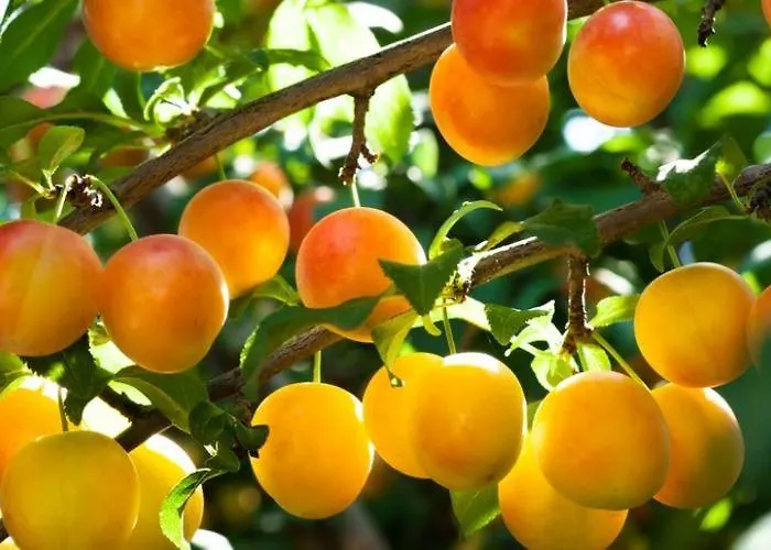 Prázdninový dům Chemin Du Grand Pre *